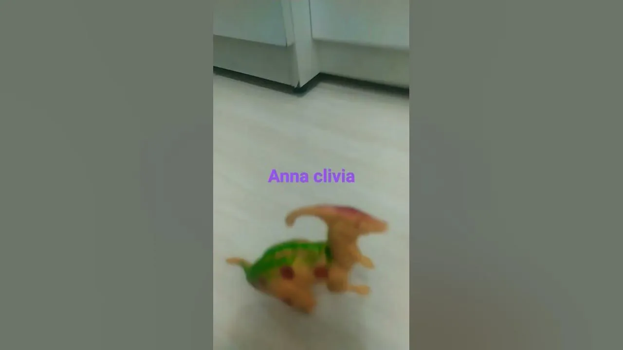 23558 cooking tarantula