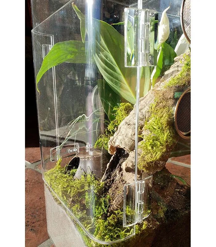 23567 tarantula substrate
