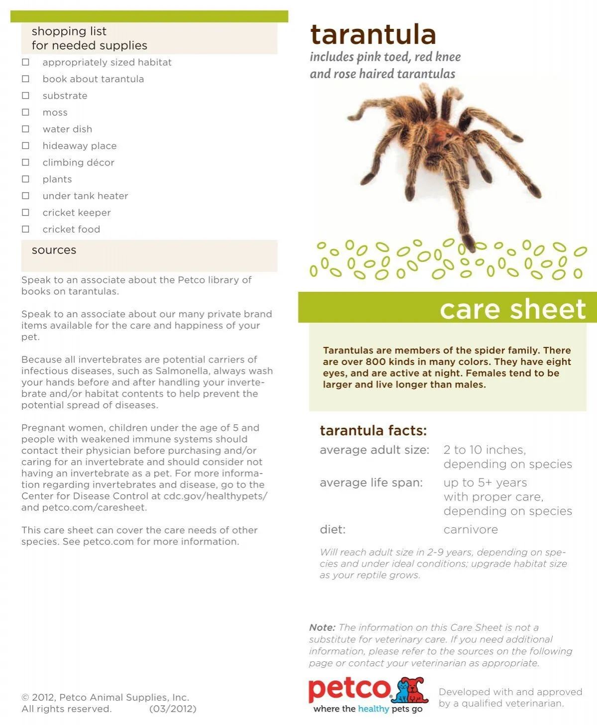 23579 trinidad olive tarantula enclosure