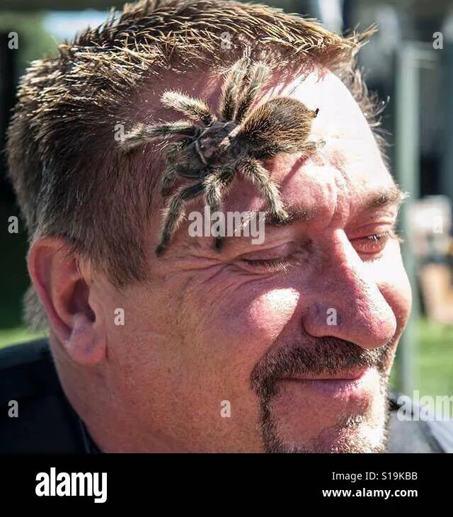 23588 salt lake county tarantula behavior