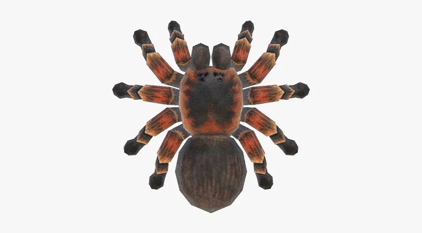 23598 animal crossing tarantula island selection