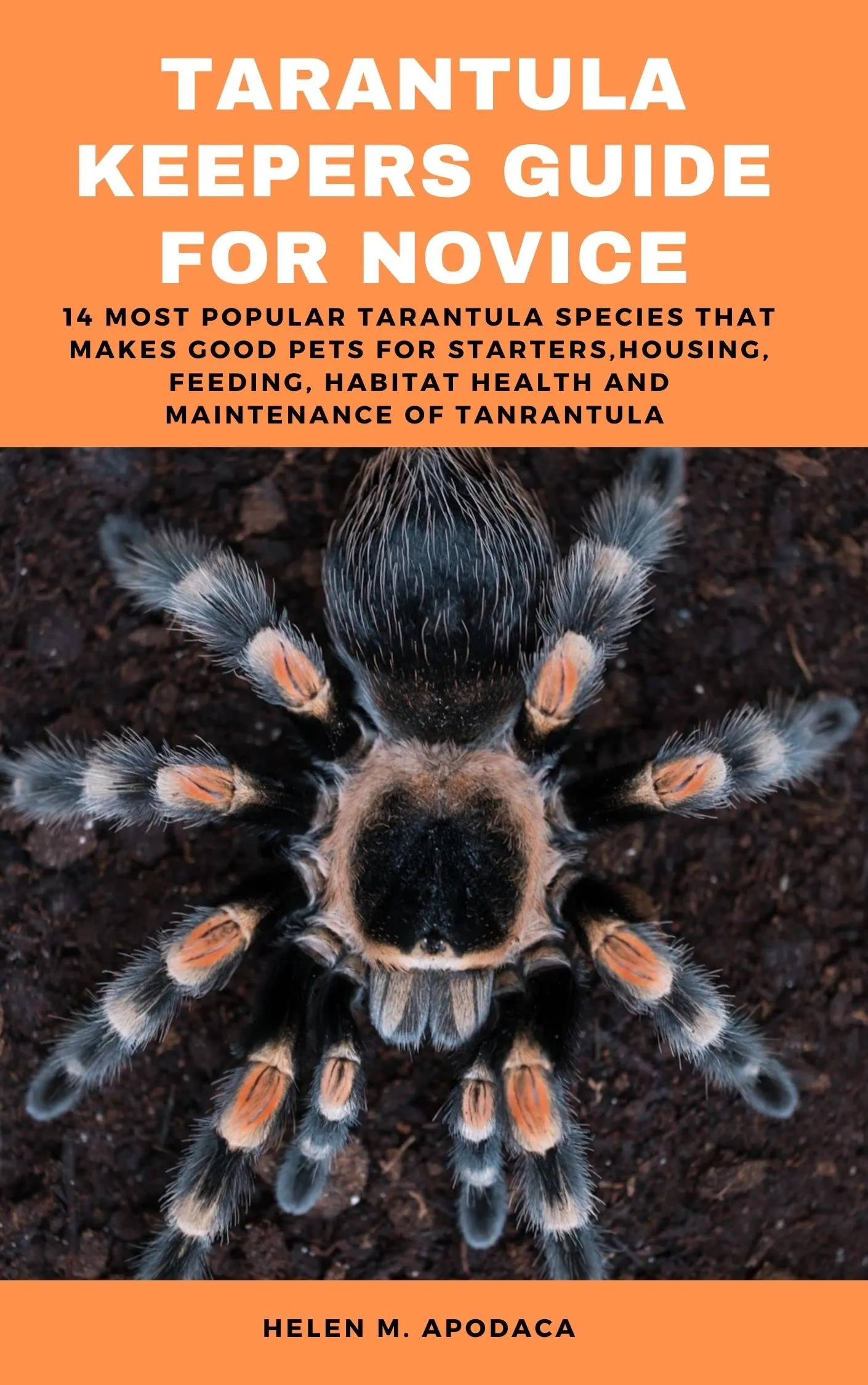 23622 tarantula feeding guide