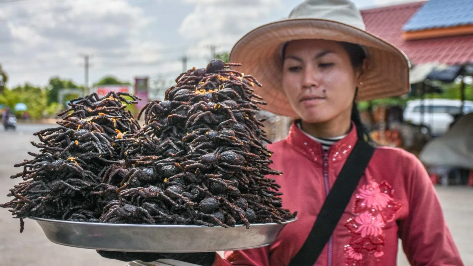 23626 cambodia tarantula appearance