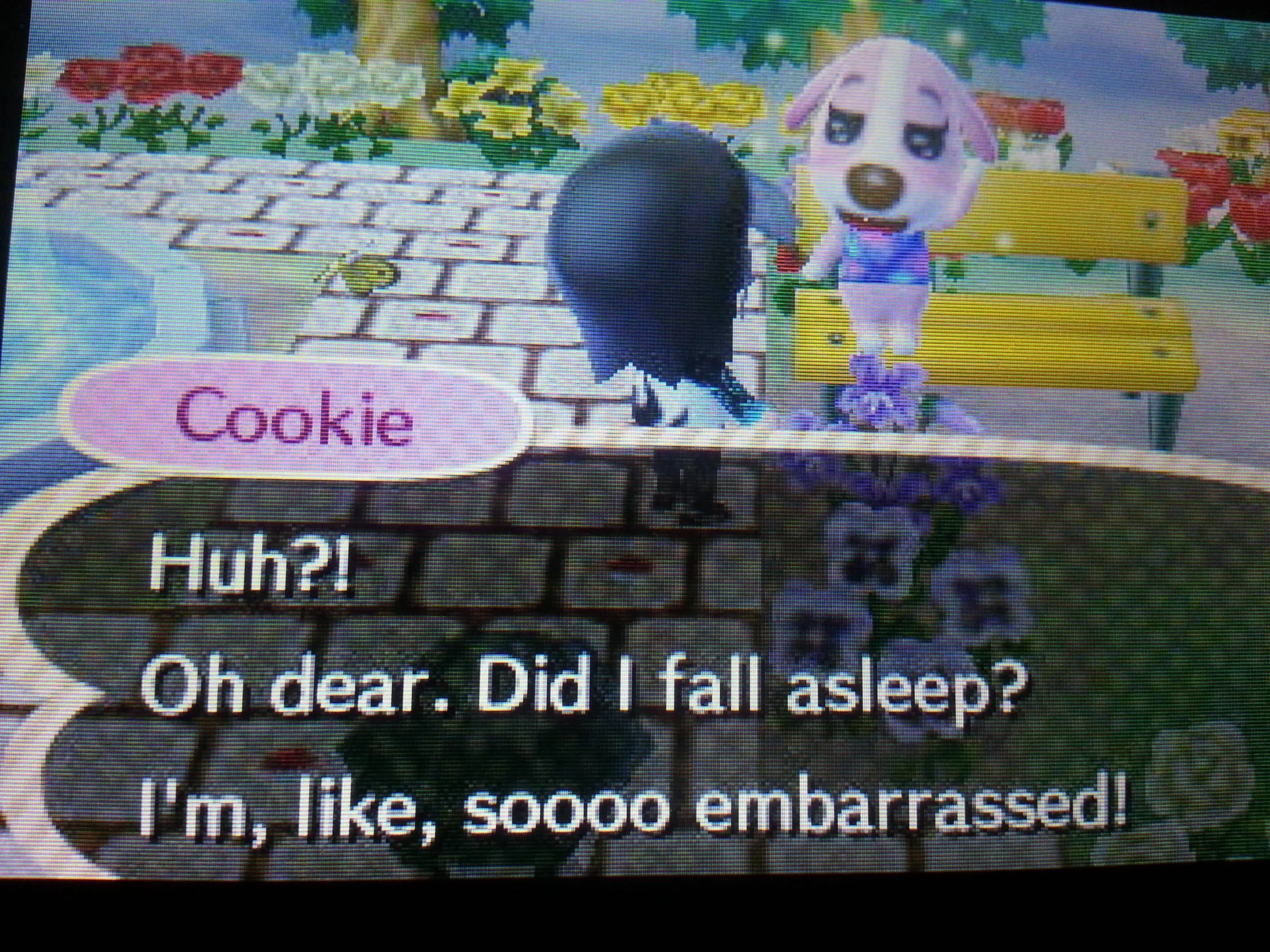 23632 animal crossing new leaf house