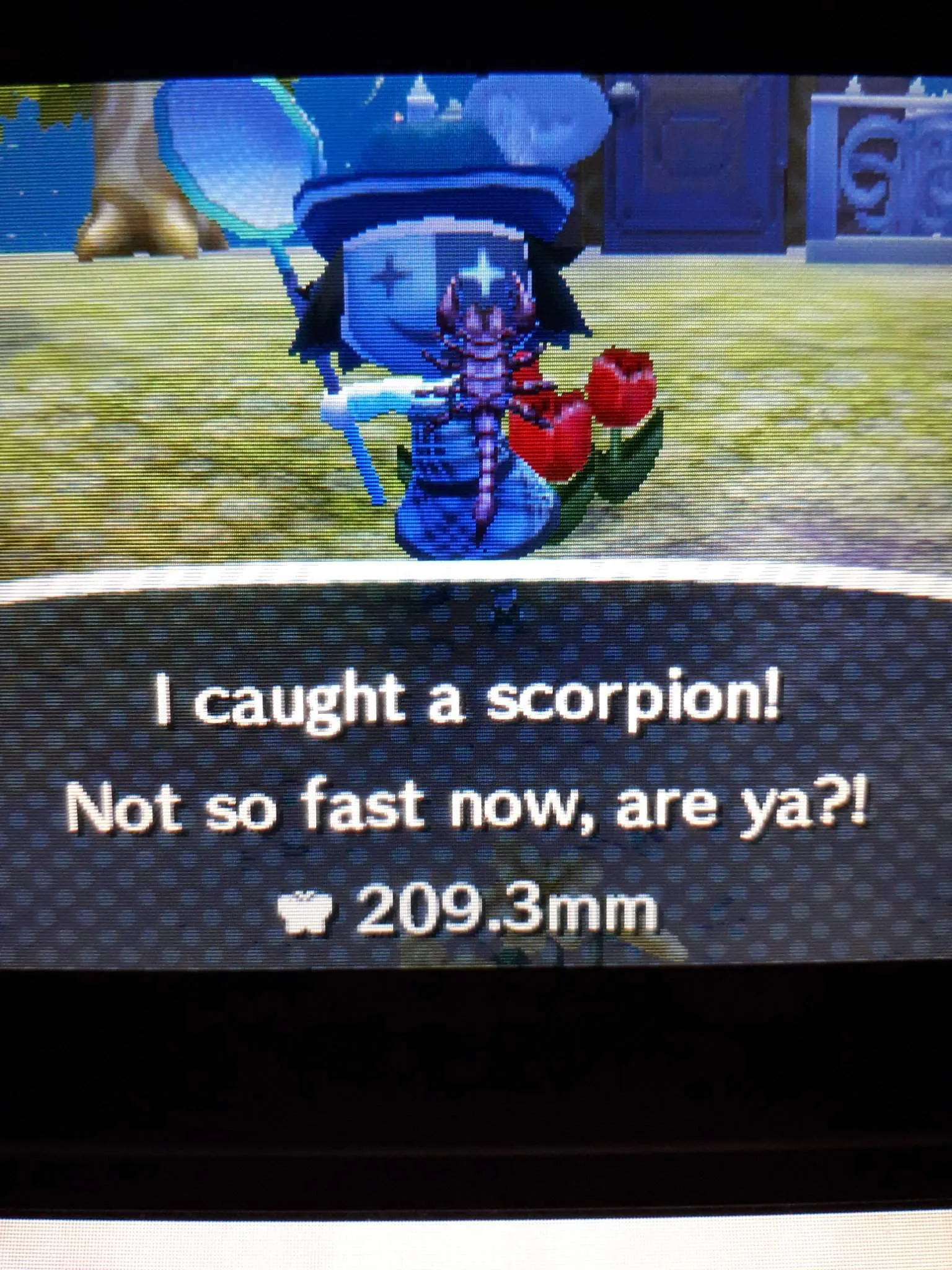 23632 animal crossing new leaf villager