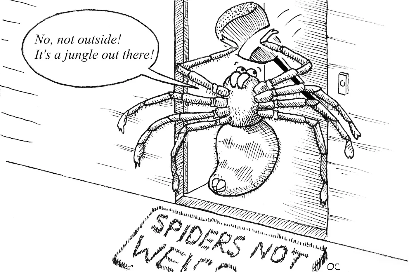 23635 white tarantula dream