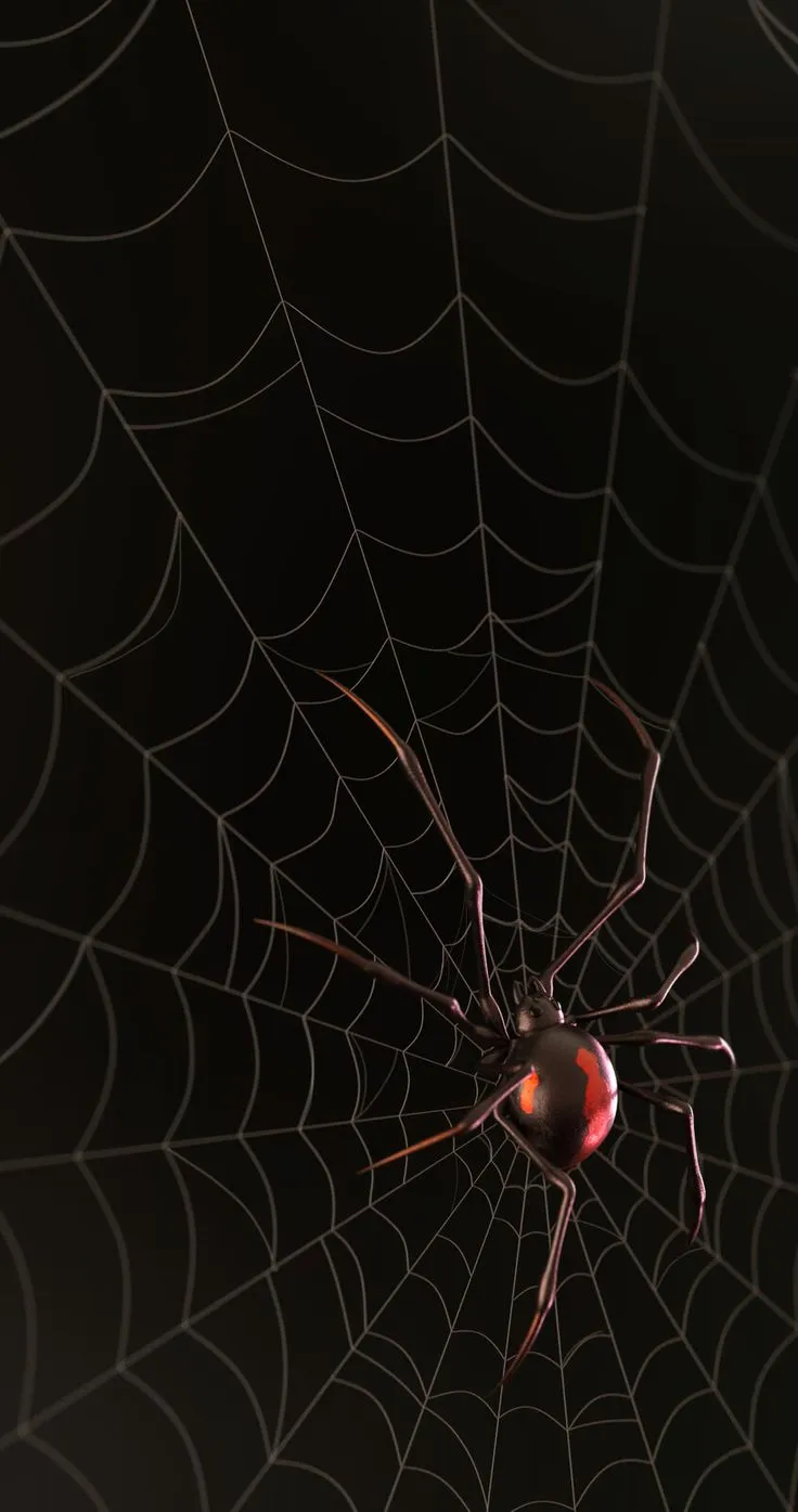 23639 vedova nera vs tarantula 3