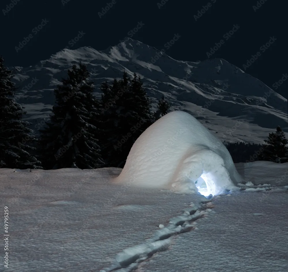 23647 tarantula igloo sport strategy