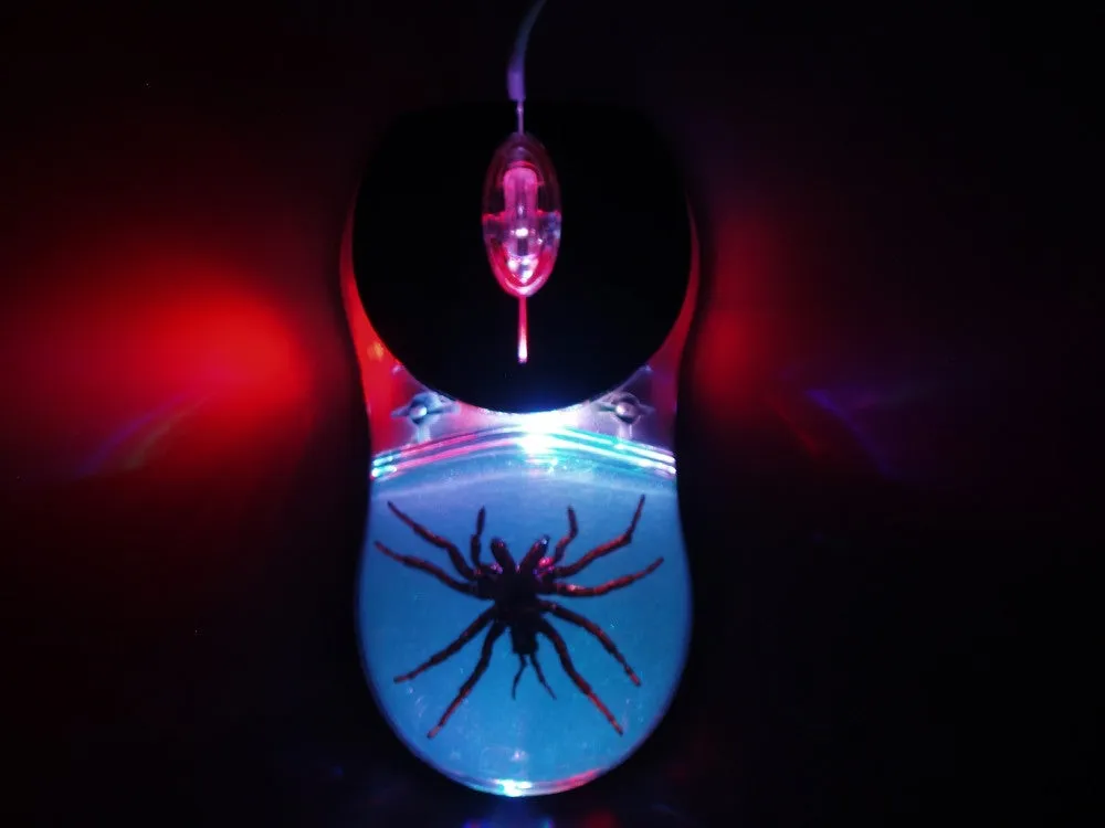 23651 mouse tarantula aberto
